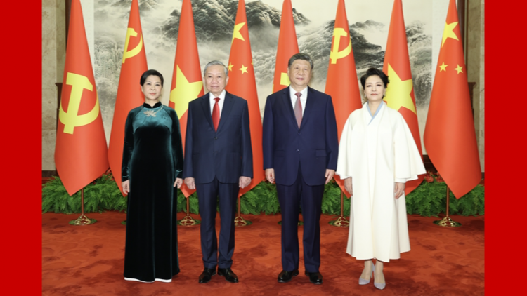 习近平同越共中央总书记、国家主席苏林举行会谈